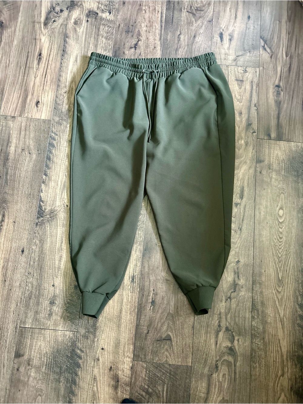 torrid Olive Green Jogger pants